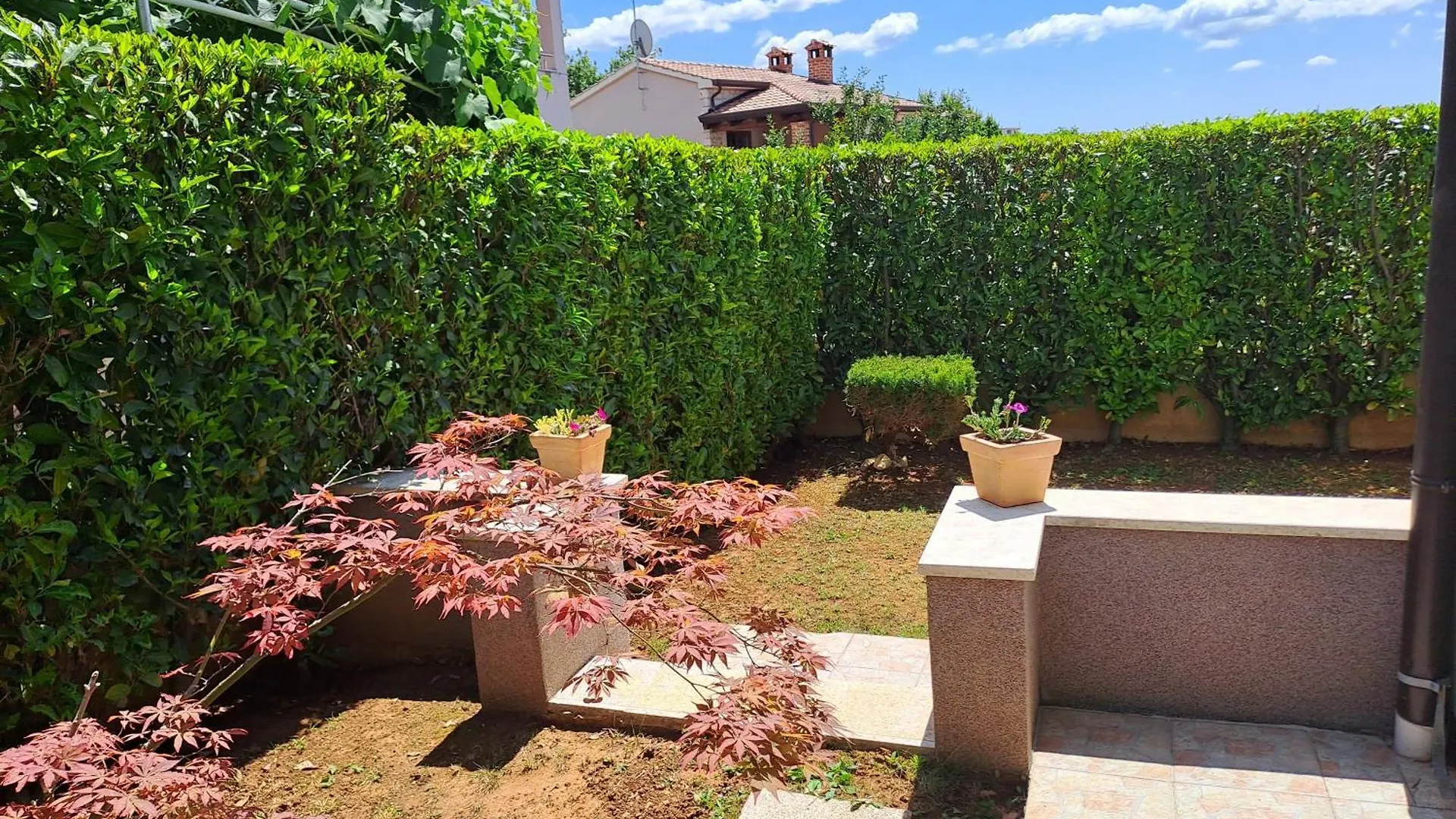 Apartment Vesna Vabriga Tar-Vabriga クロアチア